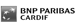 bnp paribas cardif logo